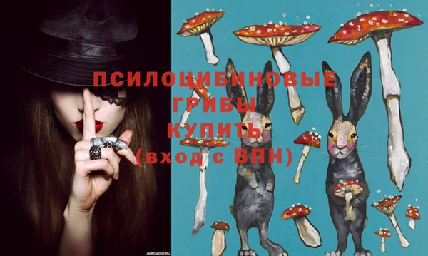 не бодяженный Алзамай