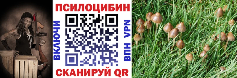 Псилоцибиновые грибы Psilocybe  нарко площадка Telegram  Ардон  магазин продажи наркотиков 